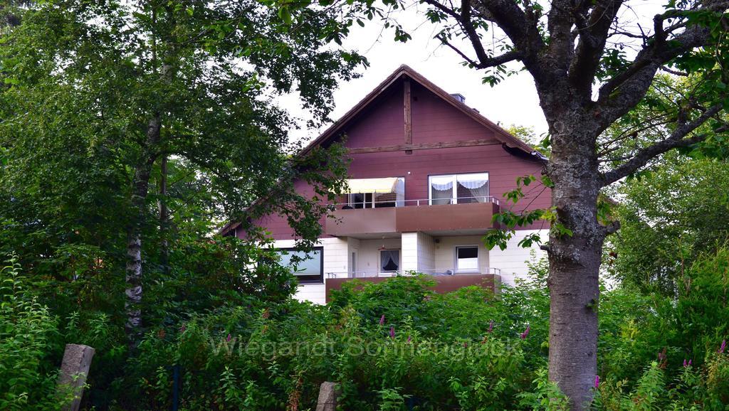 Sonnenglueck Mit Schwimmbad Appartement Braunlage Kamer foto